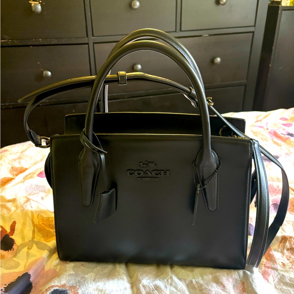 Large Andrea Carryall bag Coach